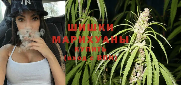 крисы Лабытнанги