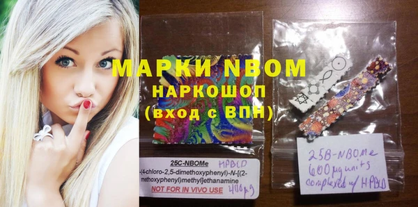 крисы Лабытнанги