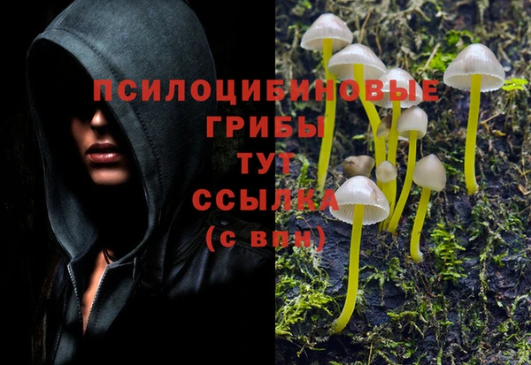 спайс Белоозёрский